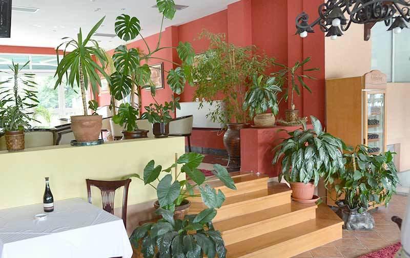 Motel Kneginja Čačak Exteriér fotografie